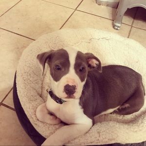 Meet your Posher, Bettye